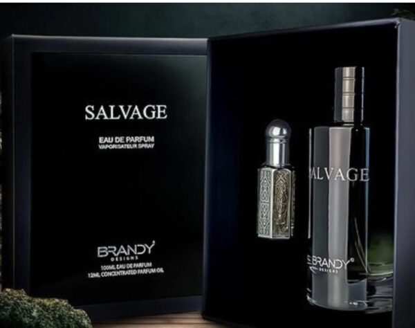 SALVAGE EDP 100ML WITH PERFUME OIL 12ML GIFT SET AMAZING PERFUME BY BRANDY DESIGN